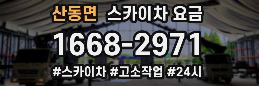 산동면 스카이차 요금