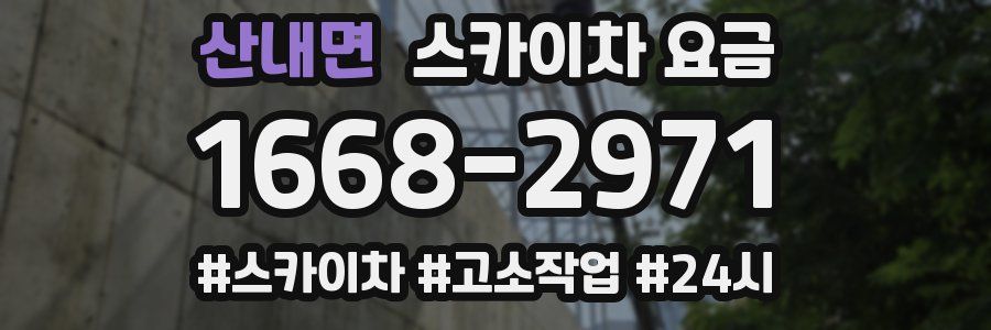 산내면 스카이차 요금