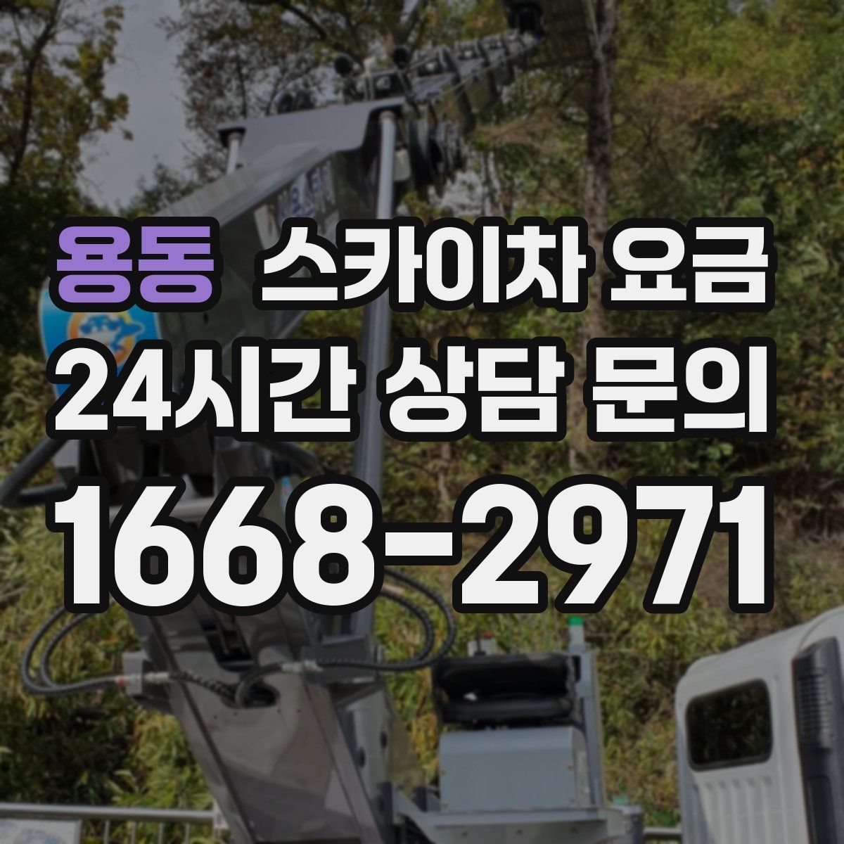 용동 스카이차 요금