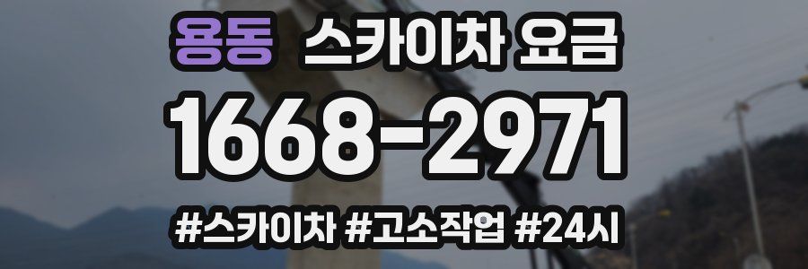 용동 스카이차 요금