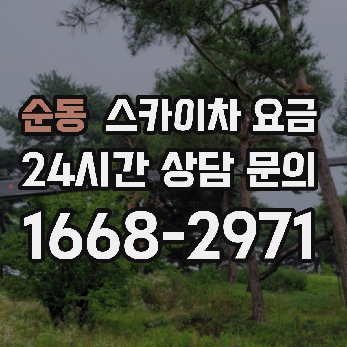 순동 스카이차 요금