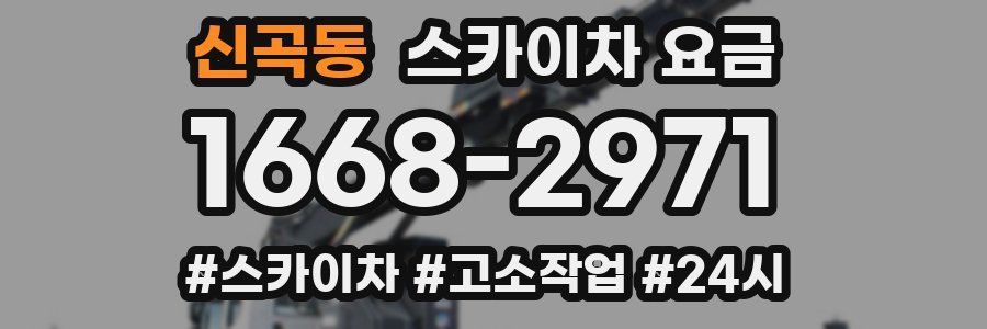 신곡동 스카이차 요금