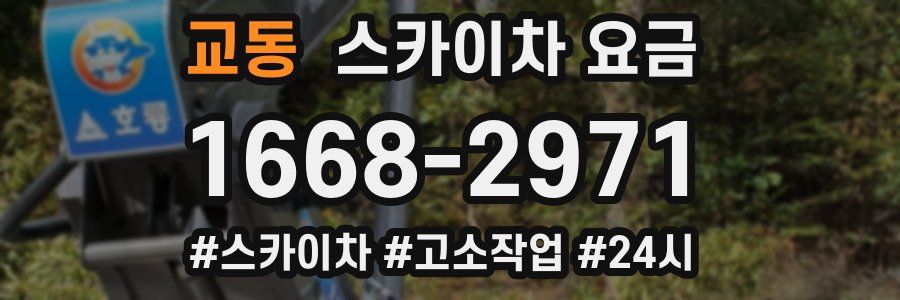 교동 스카이차 요금
