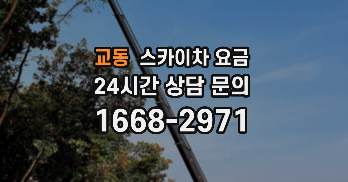 교동 스카이차 요금