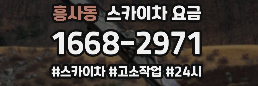 흥사동 스카이차 요금