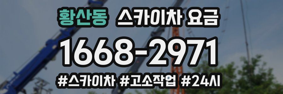 황산동 스카이차 요금
