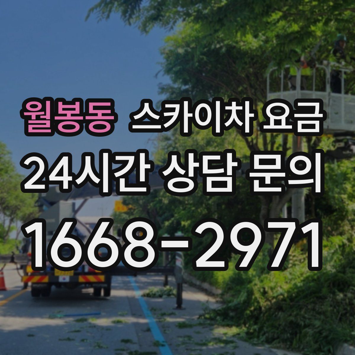 월봉동 스카이차 요금