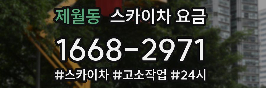 제월동 스카이차 요금