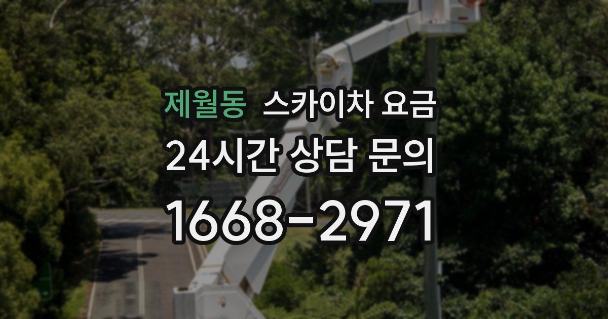제월동 스카이차 요금