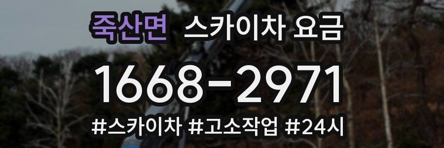 죽산면 스카이차 요금