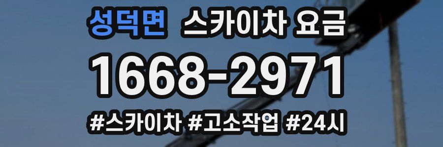 성덕면 스카이차 요금