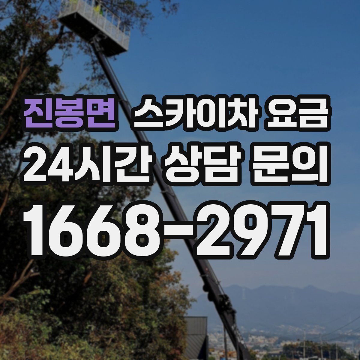 진봉면 스카이차 요금