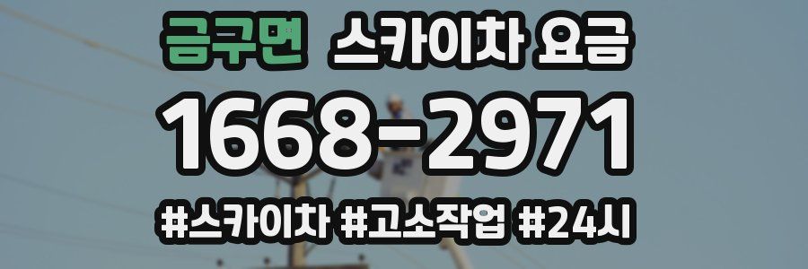 금구면 스카이차 요금