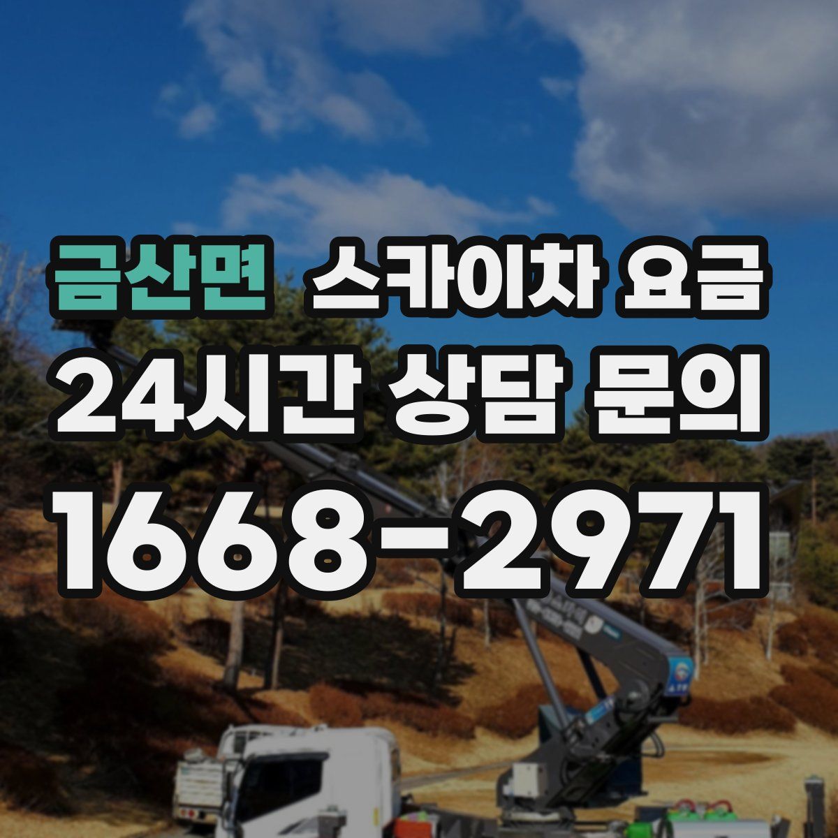 금산면 스카이차 요금