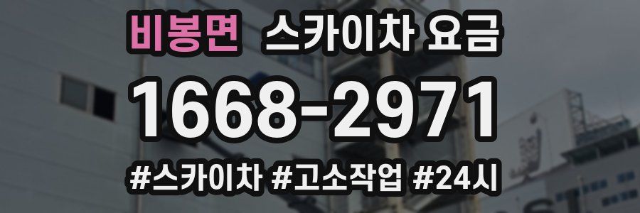 비봉면 스카이차 요금