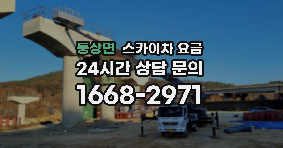 동상면 스카이차 요금
