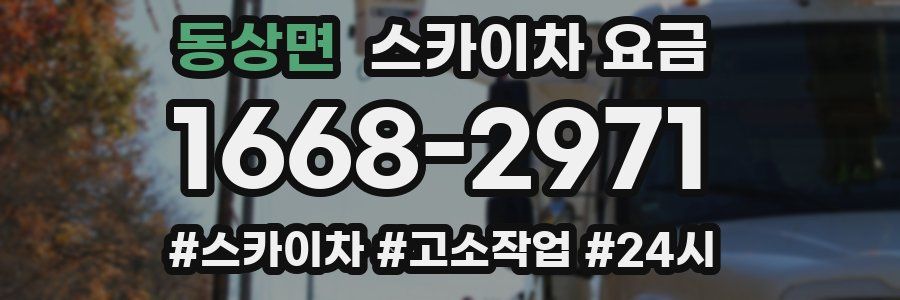 동상면 스카이차 요금