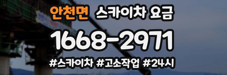 안천면 스카이차 요금