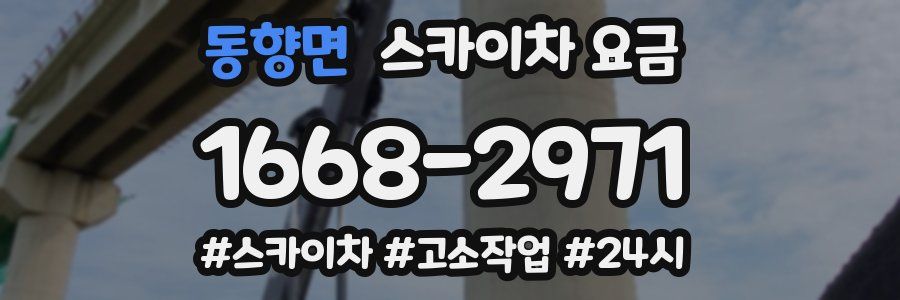 동향면 스카이차 요금