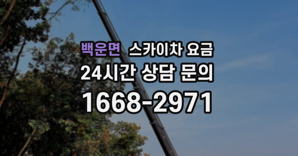 백운면 스카이차 요금