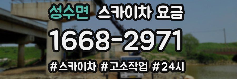 성수면 스카이차 요금