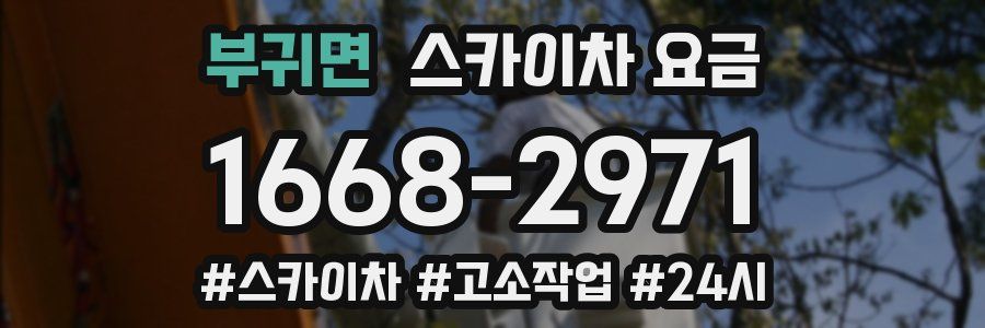 부귀면 스카이차 요금