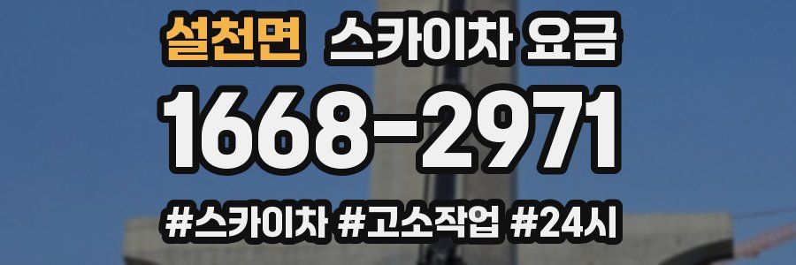 설천면 스카이차 요금