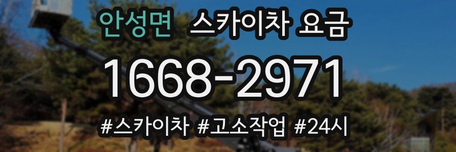 안성면 스카이차 요금