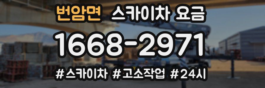 번암면 스카이차 요금