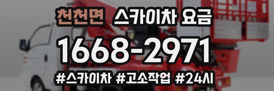 천천면 스카이차 요금