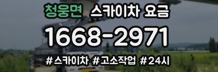 청웅면 스카이차 요금