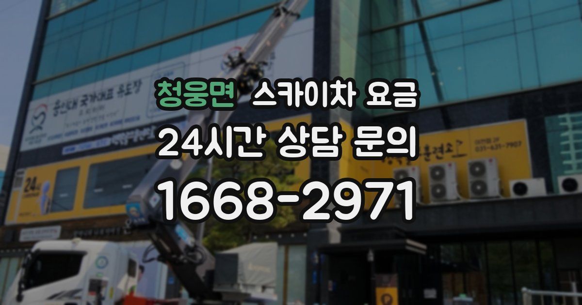 청웅면 스카이차 요금