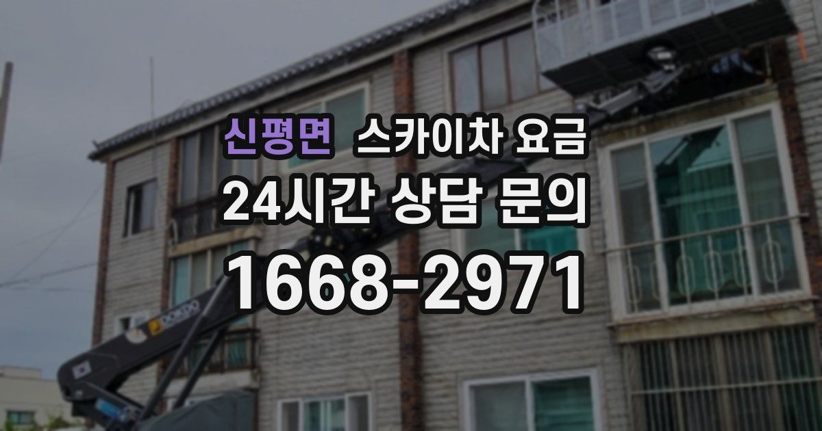 신평면 스카이차 요금