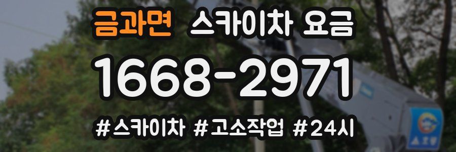 금과면 스카이차 요금