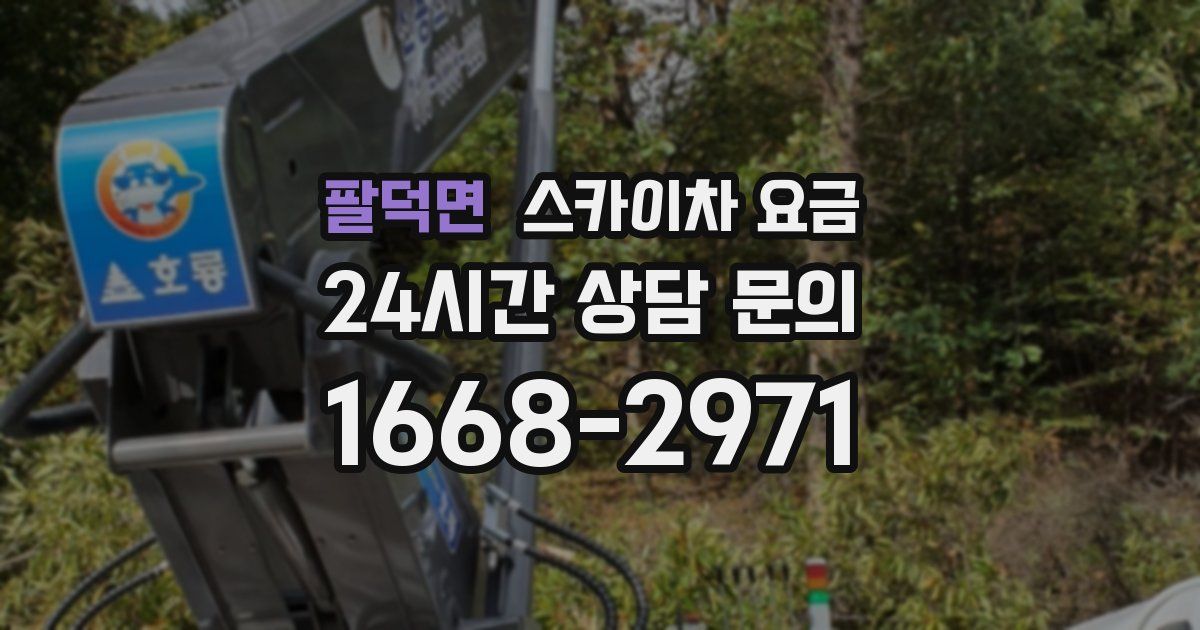 팔덕면 스카이차 요금