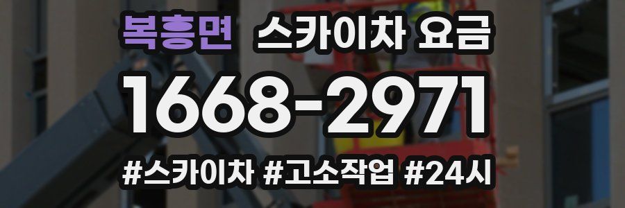 복흥면 스카이차 요금