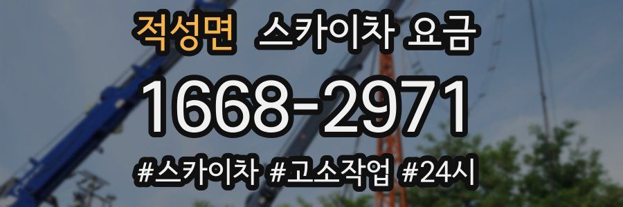 적성면 스카이차 요금