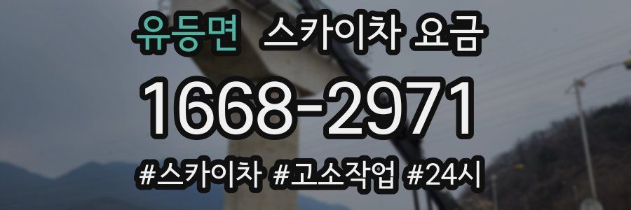유등면 스카이차 요금