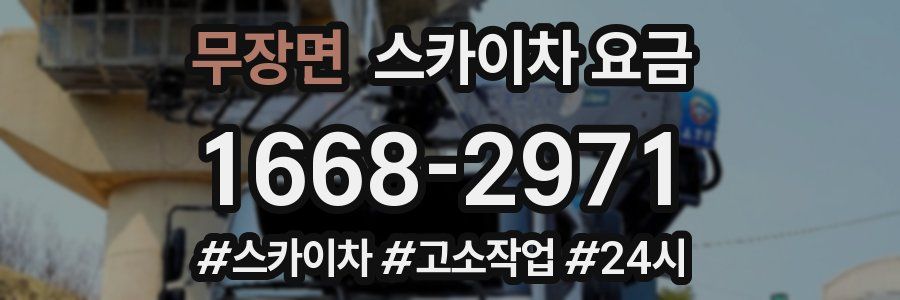 무장면 스카이차 요금