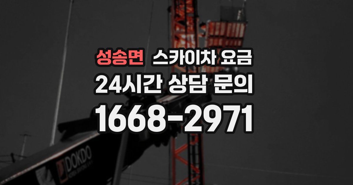 성송면 스카이차 요금