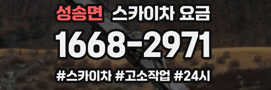 성송면 스카이차 요금