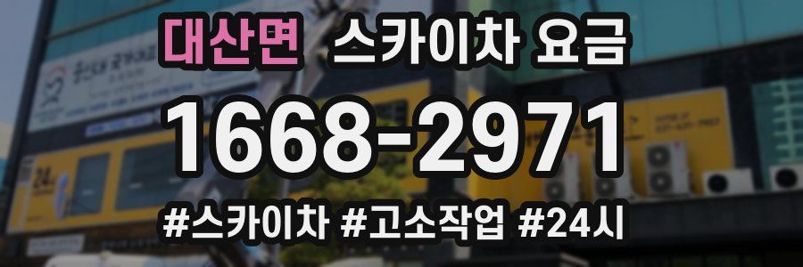 대산면 스카이차 요금