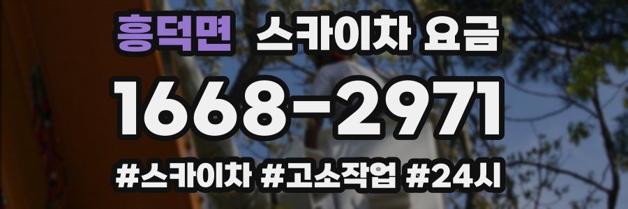 흥덕면 스카이차 요금