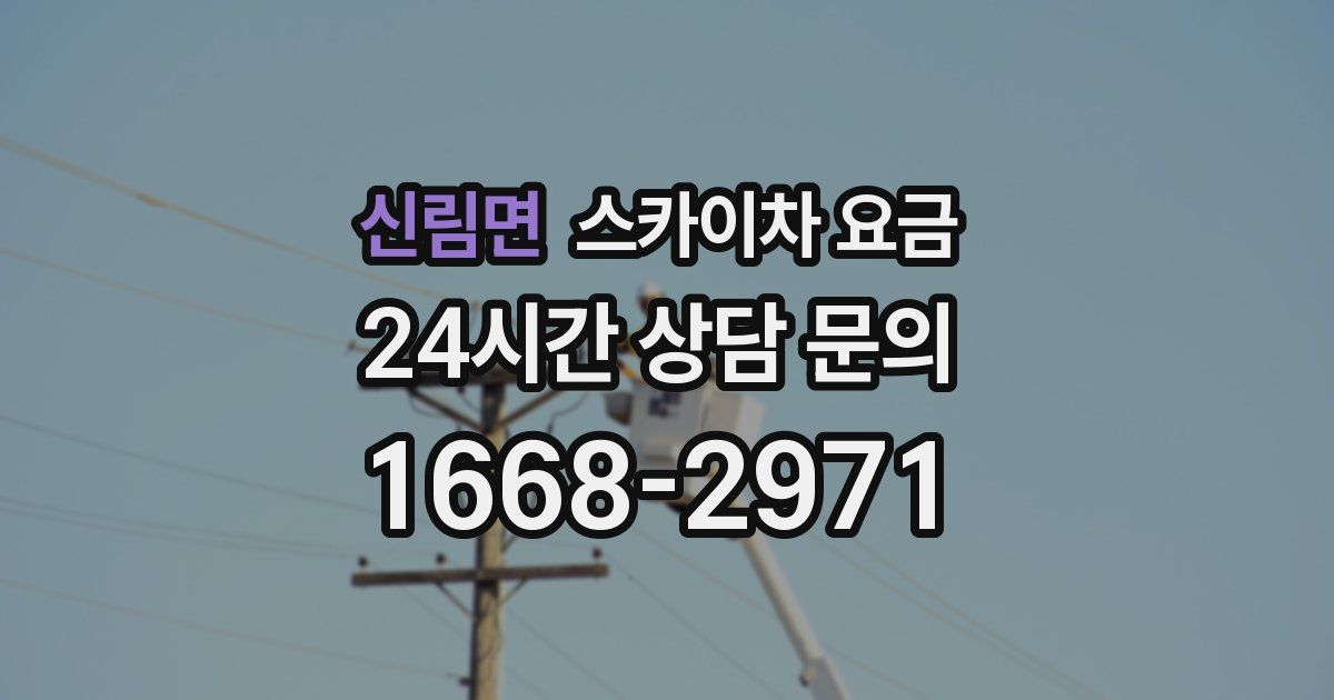 신림면 스카이차 요금
