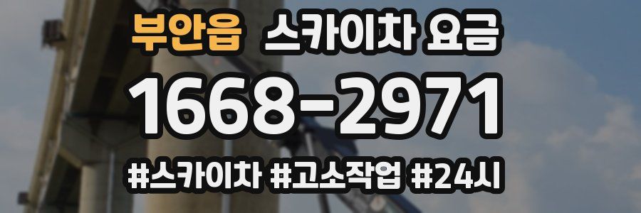 부안읍 스카이차 요금