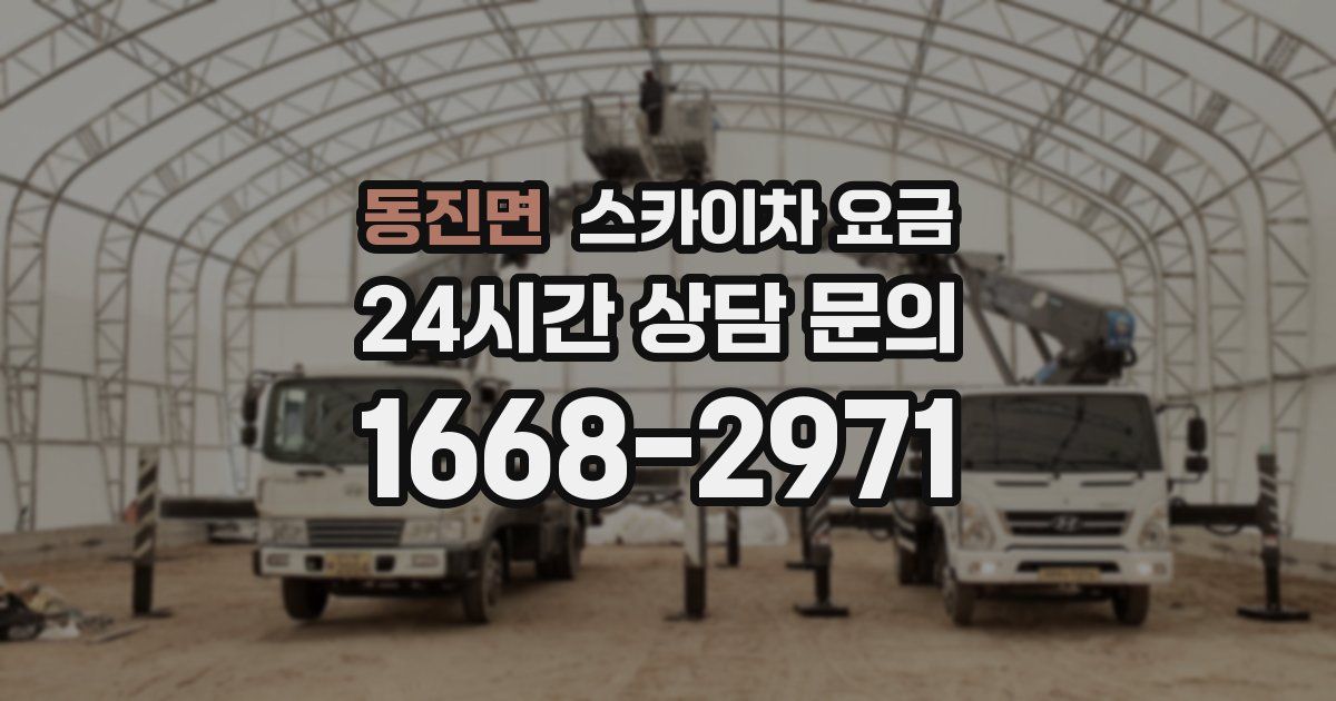 동진면 스카이차 요금