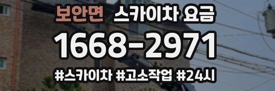 보안면 스카이차 요금