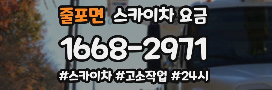 줄포면 스카이차 요금