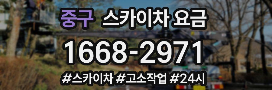중구 스카이차 요금
