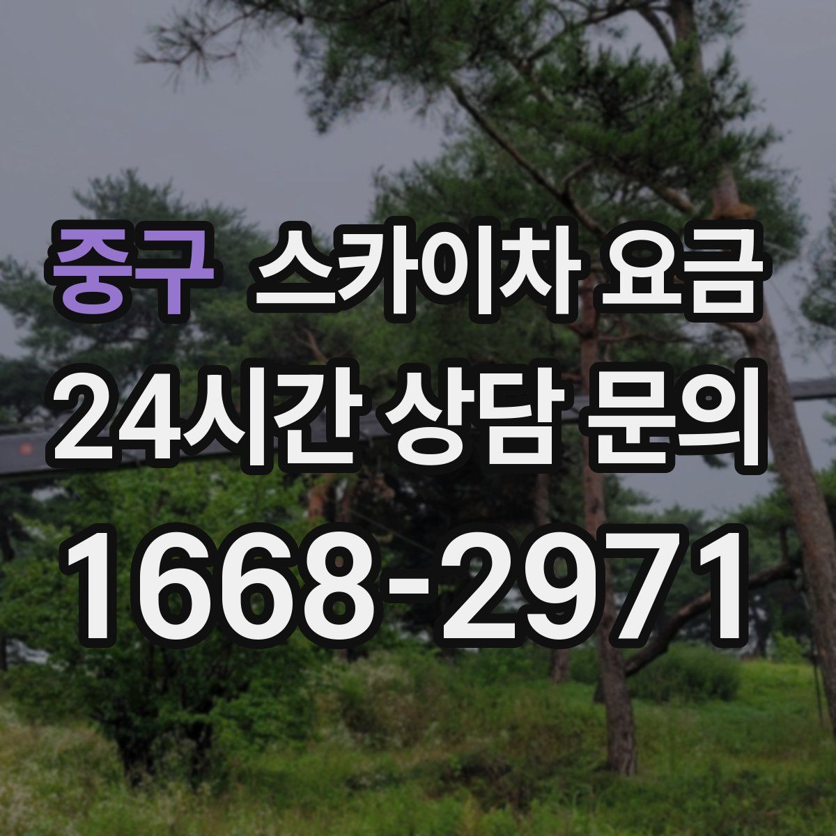 중구 스카이차 요금